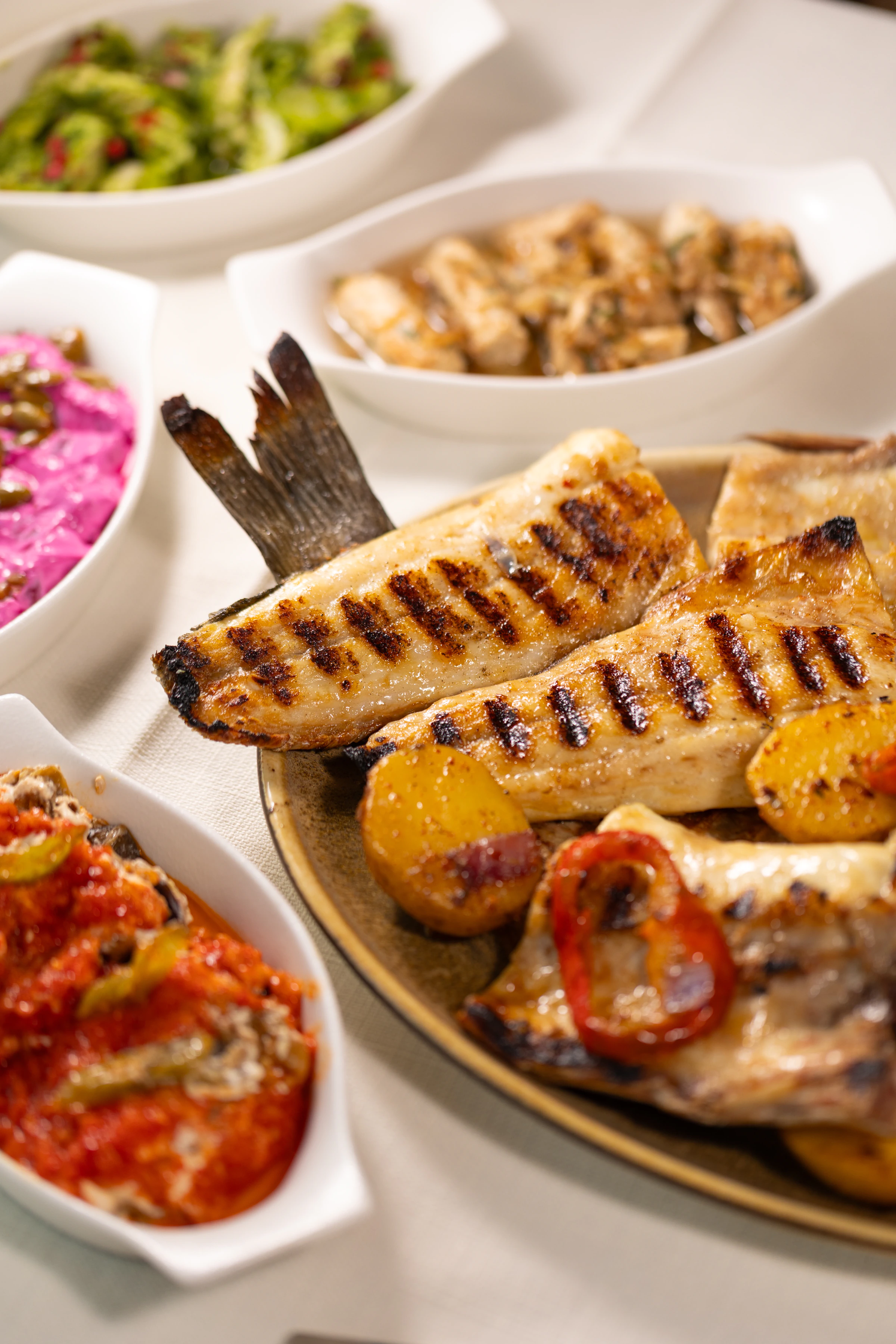 Arwin Roof fish plate